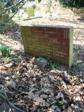 image of grave number 62892